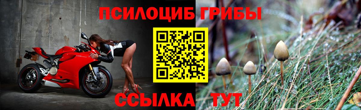 Псилоцибиновые грибы прущие грибы  Вход с VPN  Жуковский 